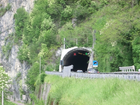 Pedesalto Tunnel southern portal