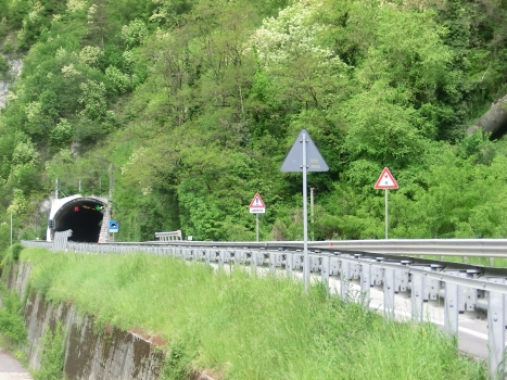 Tunnel Pedesalto