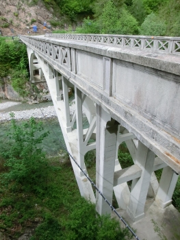 Ponte Oltra