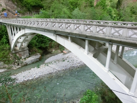 Ponte Oltra