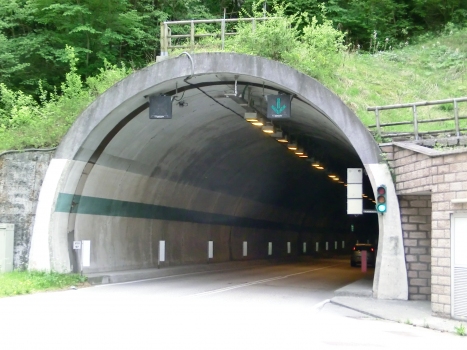 Tunnel Pulz