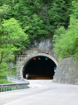 Pulz Tunnel southern portal