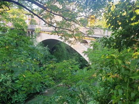 Potenza Bridge