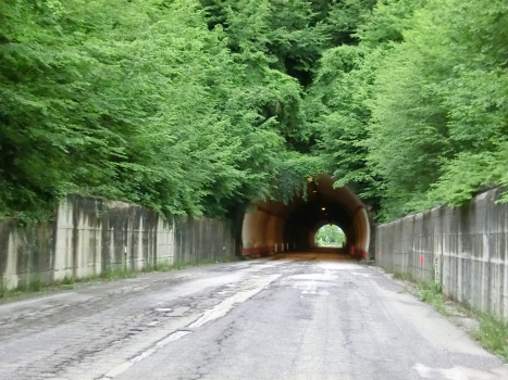Tassinette Tunnel northern portal