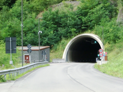 Rafenstein Tunnel northern portal
