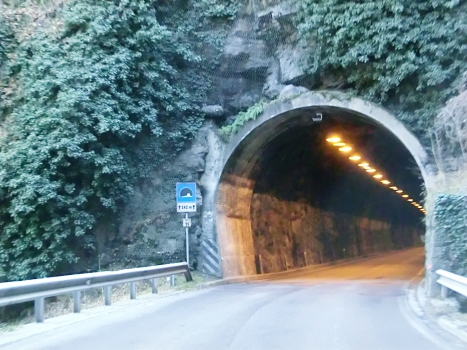Sarentino 11 Tunnel northern portal