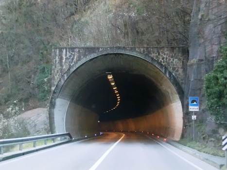 Sarentino 18 Tunnel northern portal