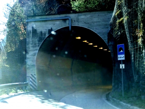 Sarentino 8 Tunnel northern portal