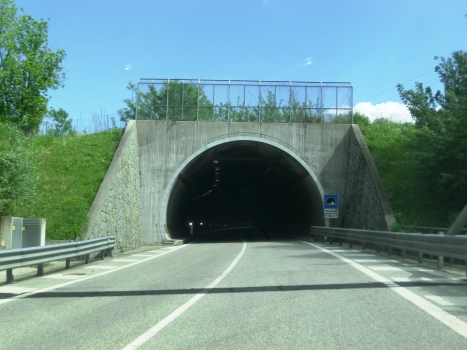 Villaga Tunnel western portal