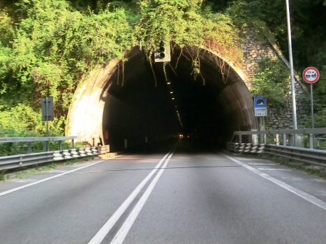 Colpiano Tunnel northern portal
