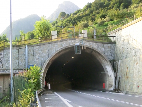 Colpiano Tunnel southern portal