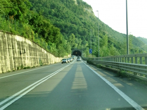 Covelo Tunnel northern portal