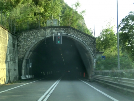 Covelo Tunnel northern portal