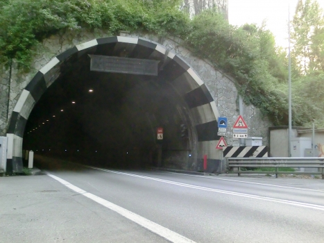 Ronco Graziolo Tunnel northern portal