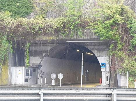 Vello II Tunnel northern portal