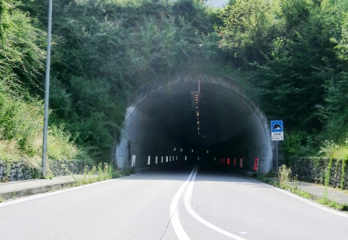 Zone Tunnel western portal