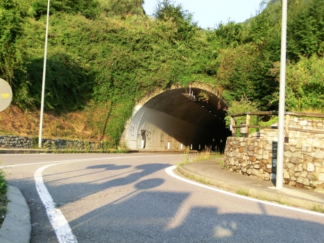 Zone Tunnel western portal
