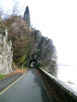 Tunnel de Colombano III