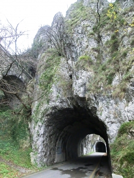 Val di Sole Tunnel (up, on the left) and Colombano III Tunnel northern portals