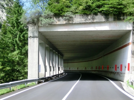 Tunnel de Monte Croce XI