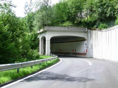 Monte Croce I Tunnel eastern portal