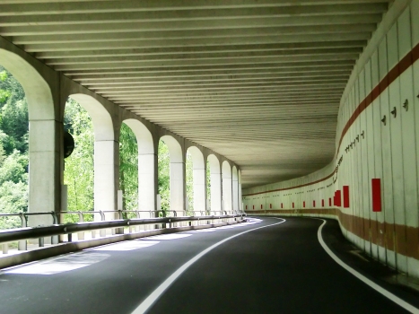 Tunnel de Monte Croce I