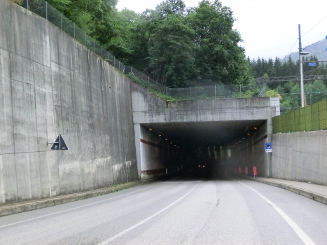 Boscoverde Tunnel eastern portal