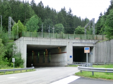 Tunnel Boscoverde