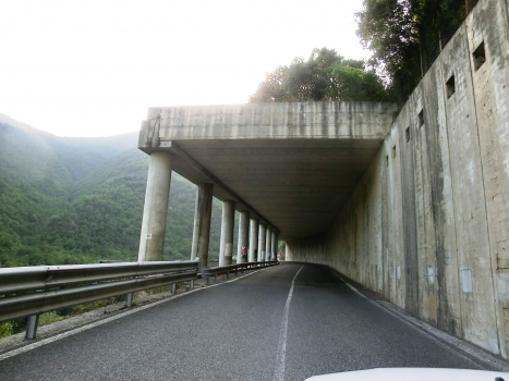 Tunnel Montalto