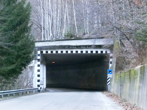Ceppo Morelli 1 Tunnel eastern portal