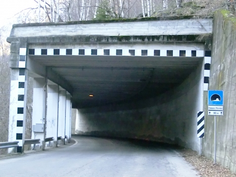 Ceppo Morelli 1 Tunnel eastern portal