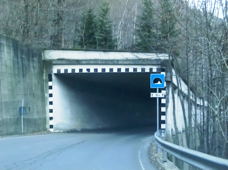 Tunnel Ceppo Morelli 1