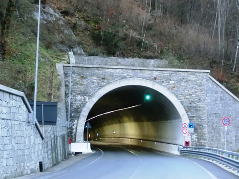 Ceppo Morelli Tunnel western portal