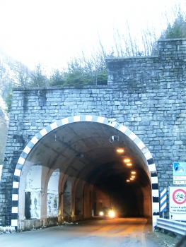 Rio Valle Tunnel eastern portal