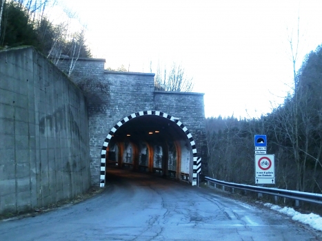 Rio Valle Tunnel western portal