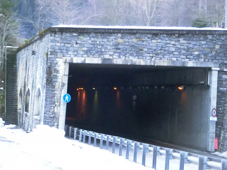 Rio Vena Tunnel eastern portal