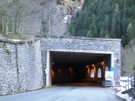 Rio Vena Tunnel western portal