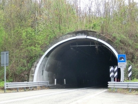 Tunnel Baldissero