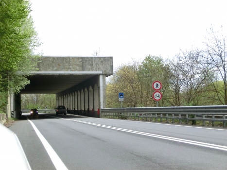 Parella Tunnel western portal
