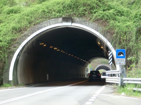 Tunnel Quagliuzzo I