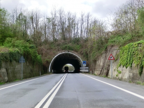 Quagliuzzo II Tunnel eastern portal