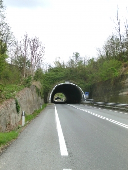 Quagliuzzo II Tunnel western portal