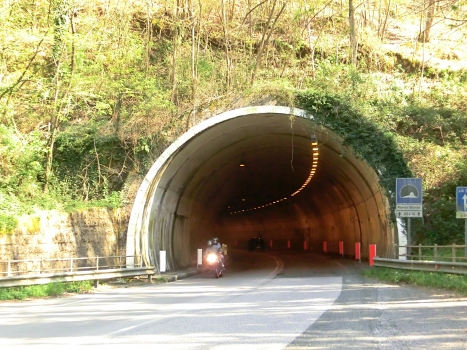 Monte Biondo Tunnel northern portal