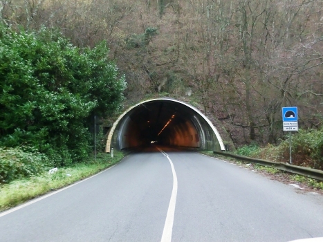Monte Persico Tunnel northern portal