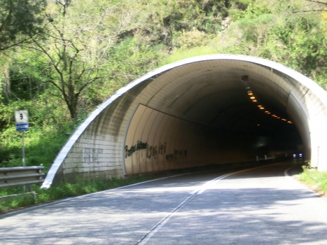 Monte Persico Tunnel southern portal