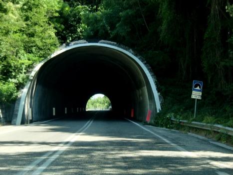 Brigante Viola Tunnel western portal