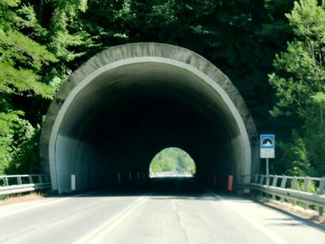 Carta Tunnel western portal