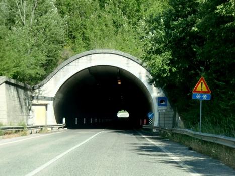 Collegiudeo Tunnel western portal