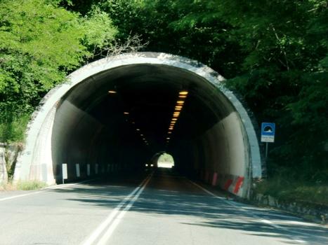 Fonte Viva Tunnel western portal