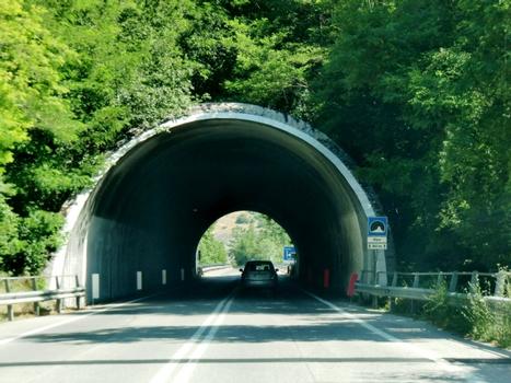 Ripe Tunnel western portal